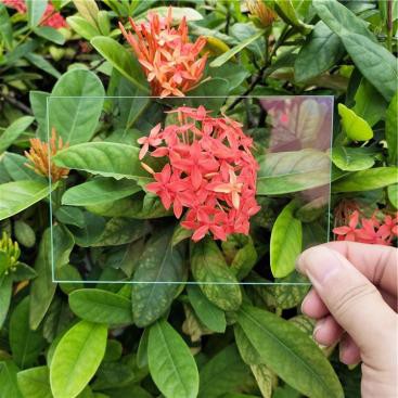 news-367-367 news-367-367