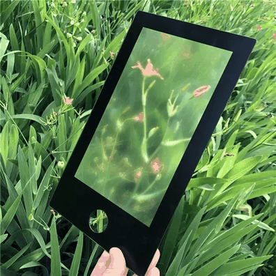 202403051002181 202403051002181